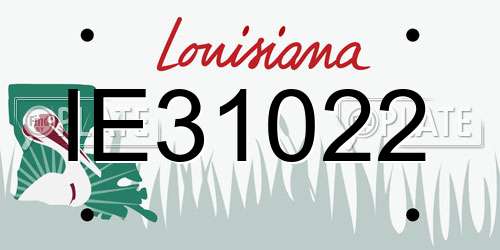 IE31022 Louisiana License Plate