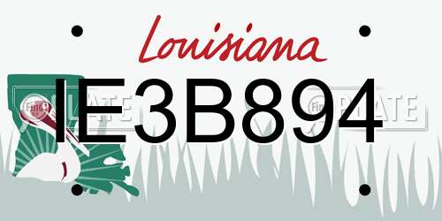 IE3B894 Louisiana License Plate