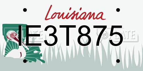 IE3T875 Louisiana License Plate