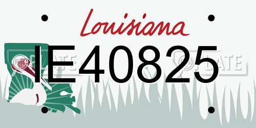 IE40825 Louisiana License Plate