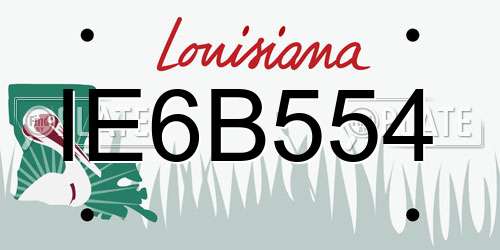IE6B554 Louisiana License Plate