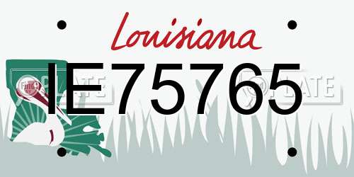 IE75765 Louisiana License Plate