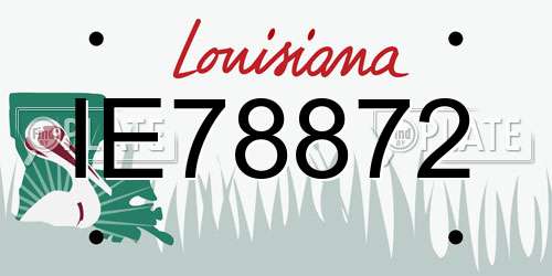 IE78872 Louisiana License Plate