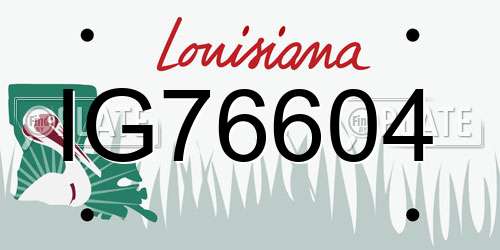 IG76604 Louisiana License Plate
