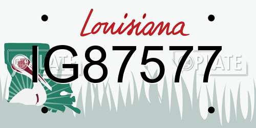 IG87577 Louisiana License Plate