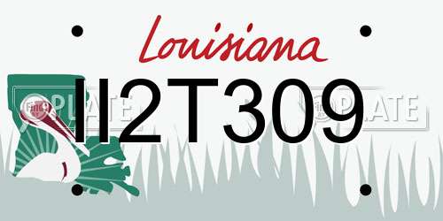 II2T309 Louisiana License Plate