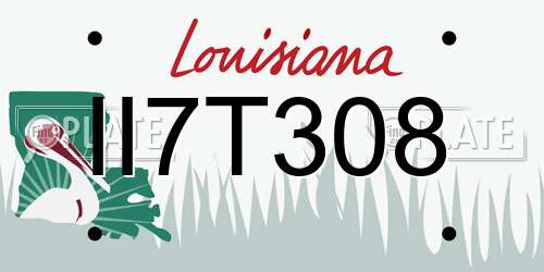 II7T308 Louisiana License Plate