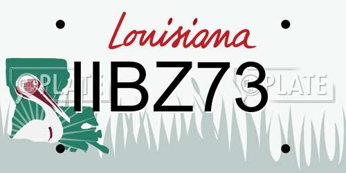 IIBZ73 Louisiana License Plate