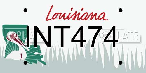 INT474 Louisiana License Plate