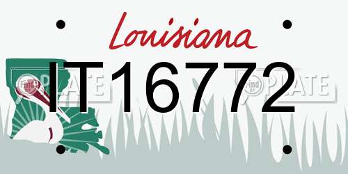 IT16772 Louisiana License Plate