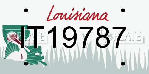 IT19787 Louisiana License Plate