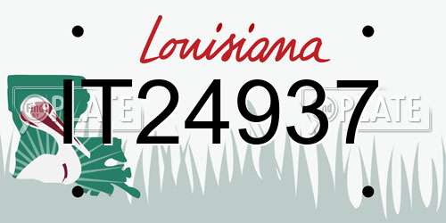 IT24937 Louisiana License Plate