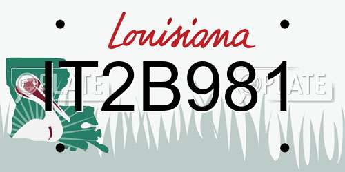 IT2B981 Louisiana License Plate