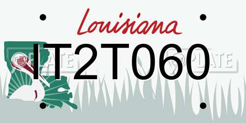 IT2T060 Louisiana License Plate