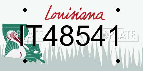 IT48541 Louisiana License Plate