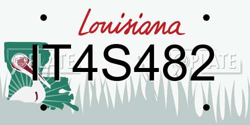 IT4S482 Louisiana License Plate