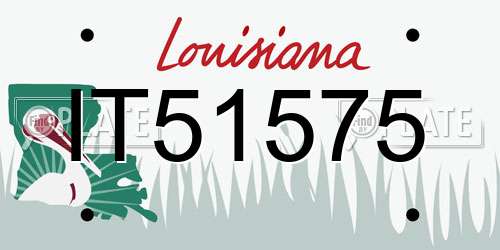 IT51575 Louisiana License Plate
