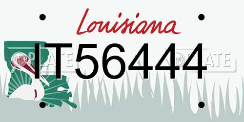 IT56444 Louisiana License Plate