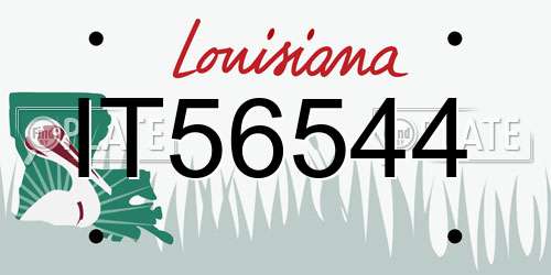 IT56544 Louisiana License Plate