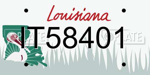 IT58401 Louisiana License Plate