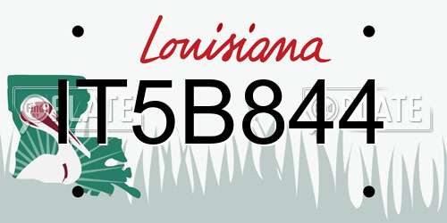 IT5B844 Louisiana License Plate