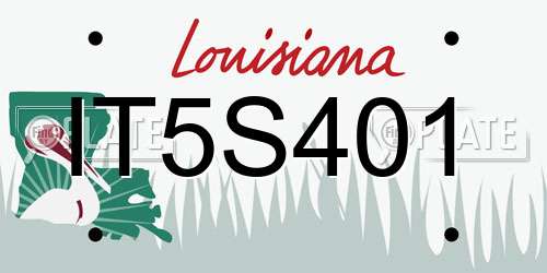 IT5S401 Louisiana License Plate
