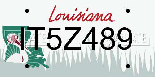 IT5Z489 Louisiana License Plate