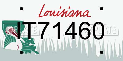 IT71460 Louisiana License Plate