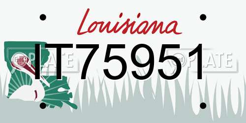 IT75951 Louisiana License Plate