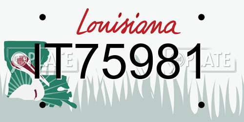 IT75981 Louisiana License Plate
