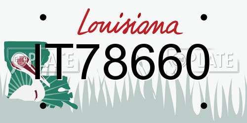 IT78660 Louisiana License Plate