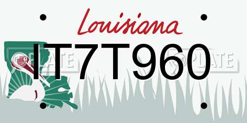 IT7T960 Louisiana License Plate