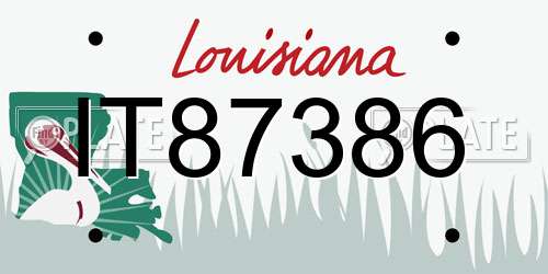 IT87386 Louisiana License Plate