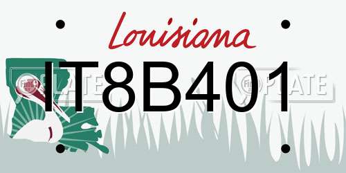 IT8B401 Louisiana License Plate
