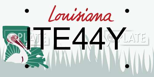 ITE44Y Louisiana License Plate