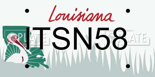 ITSN58 Louisiana License Plate