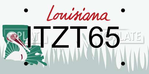 ITZT65 Louisiana License Plate