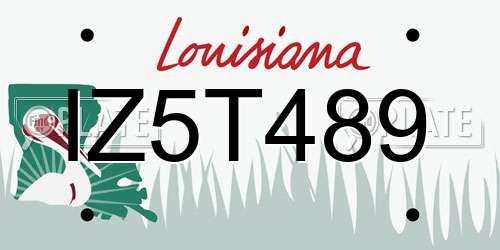 IZ5T489 Louisiana License Plate