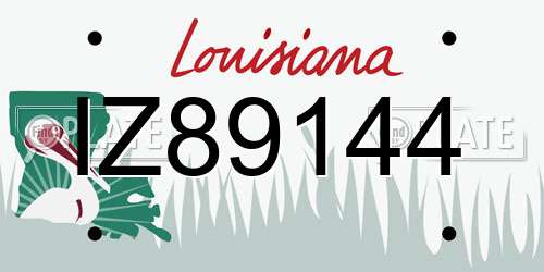IZ89144 Louisiana License Plate