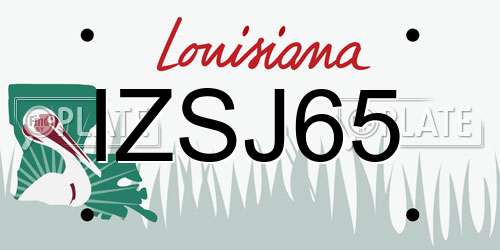 IZSJ65 Louisiana License Plate