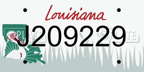 J209229 Louisiana License Plate