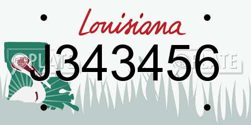 J343456 Louisiana License Plate