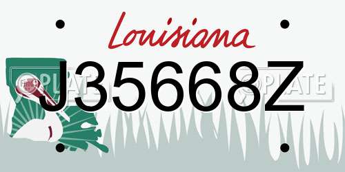 J35668Z Louisiana License Plate
