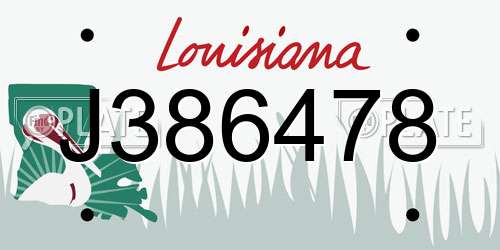 J386478 Louisiana License Plate
