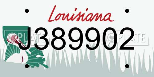 J389902 Louisiana License Plate