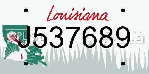 J537689 Louisiana License Plate
