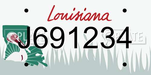 J691234 Louisiana License Plate