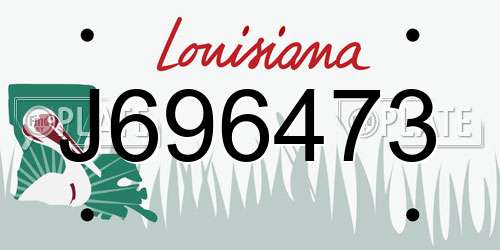 J696473 Louisiana License Plate