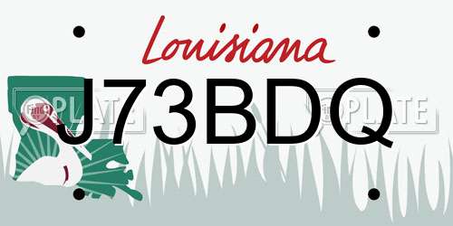 J73BDQ Louisiana License Plate