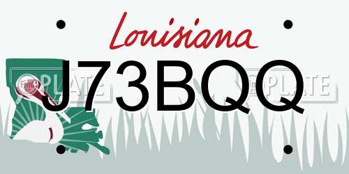 J73BQQ Louisiana License Plate